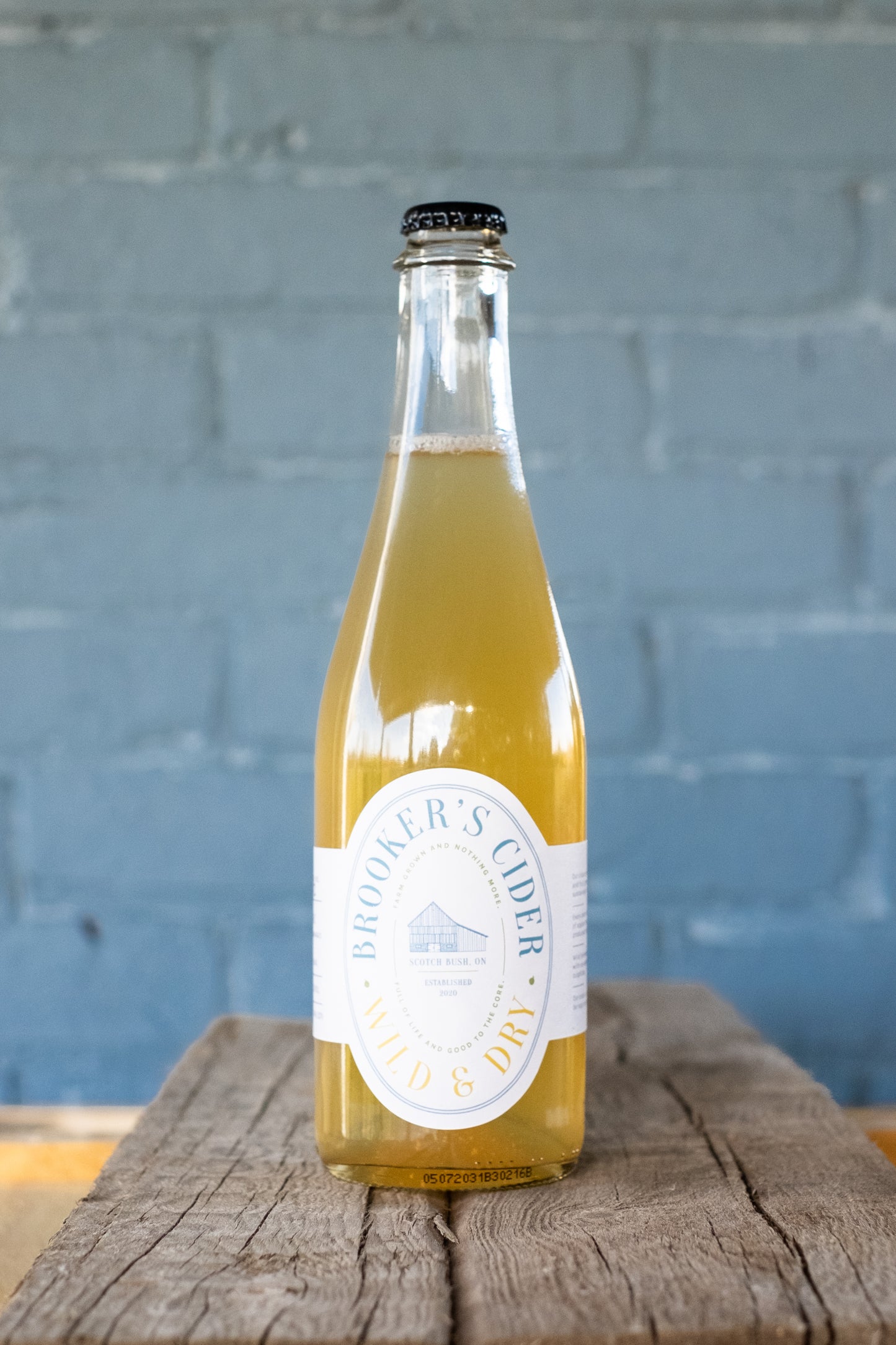 2022 Batch 1 Still Ciderkin