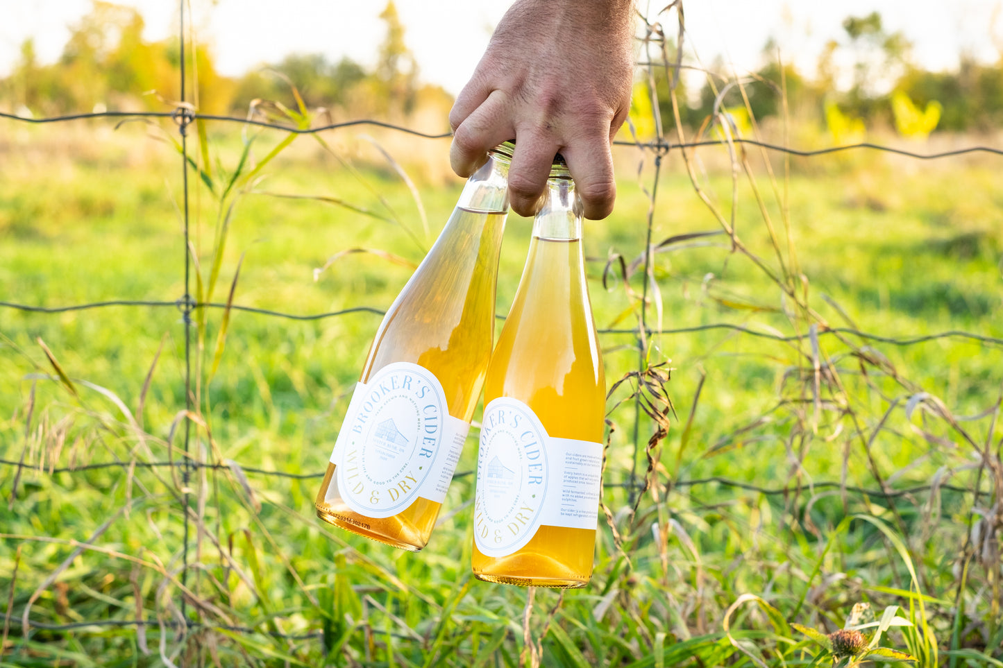 2022 Batch 2 Sparkling Ciderkin