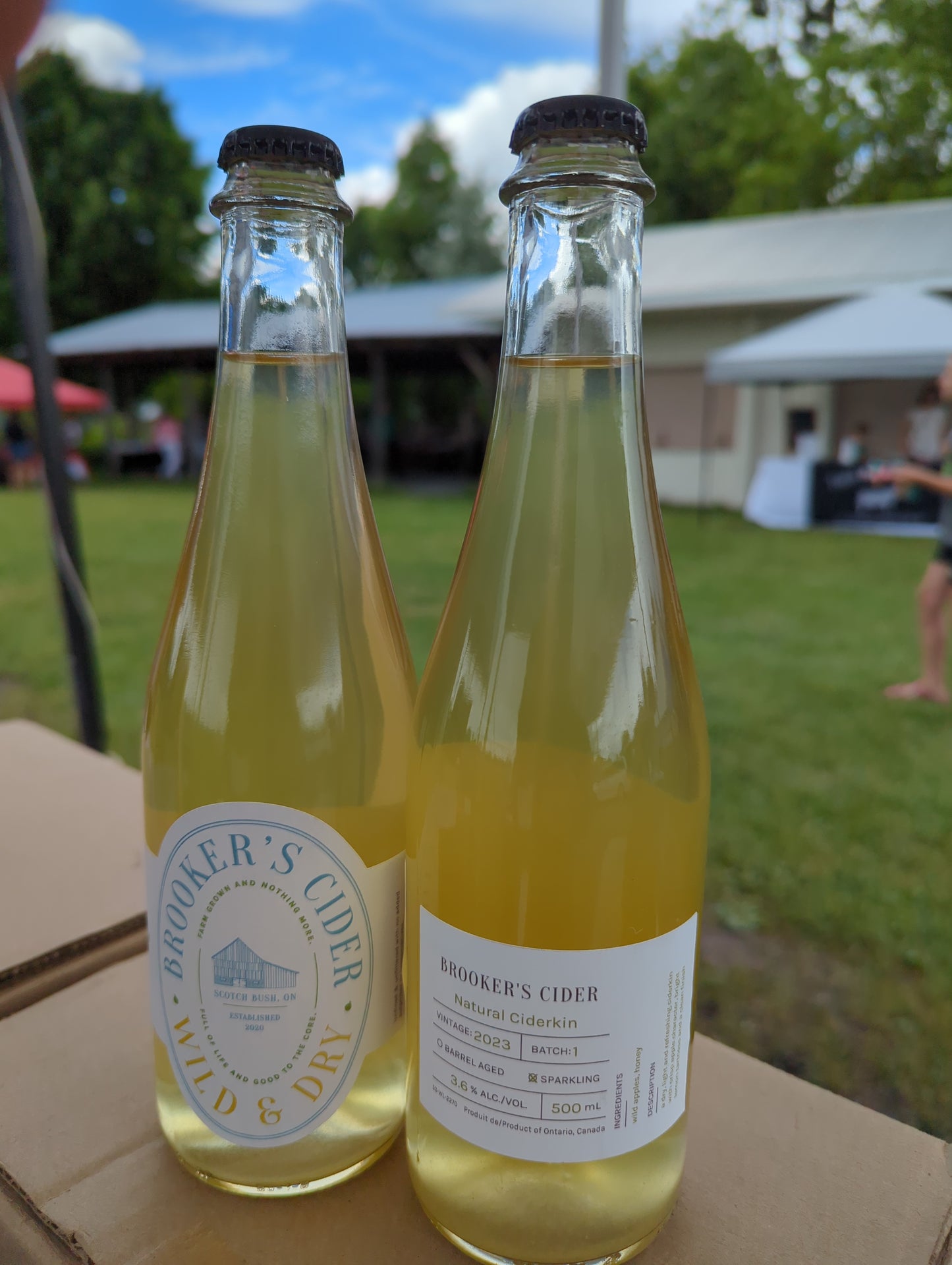 2023 Sparkling Ciderkin 1
